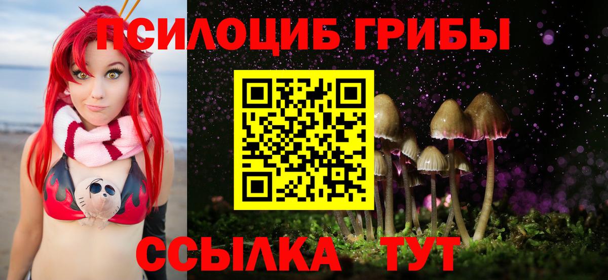 Галлюциногенные грибы прущие грибы  Вход с VPN  Жигулёвск 